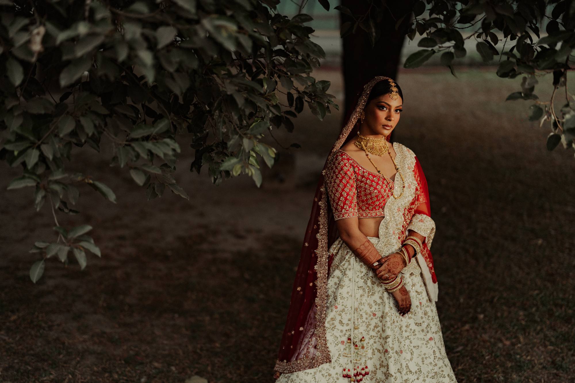 Bride pausing beneath a tree at golden hour